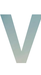 Vision TV+