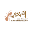 蚂蚁网